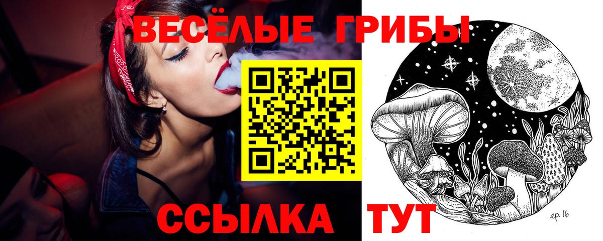 Галлюциногенные грибы ЛСД Киселёвск