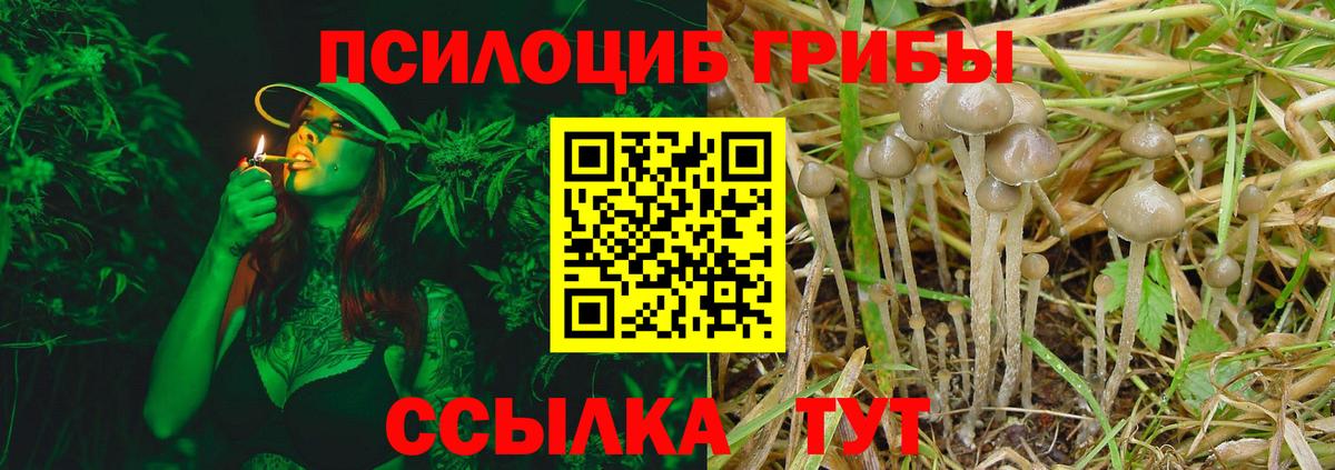 Галлюциногенные грибы прущие грибы  Вход с VPN  Киселёвск 